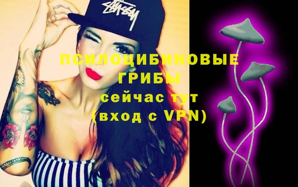 дмт Аркадак