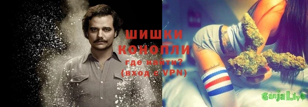 дмт Аркадак